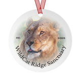 Zach Metal Ornaments