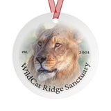 Zach Metal Ornaments