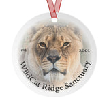 Chobe Metal Ornaments