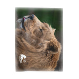 Zach Velveteen Plush Blanket