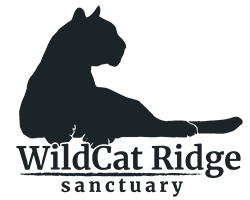 WildCat Ridge Sanctuary