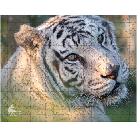 Nora Tiger - Puzzle